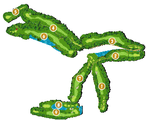 コース全体俯瞰図