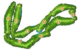 コース全体俯瞰図