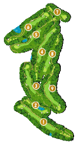 コース全体俯瞰図