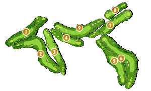 コース全体俯瞰図