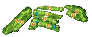 コース全体俯瞰図