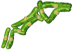 コース全体俯瞰図