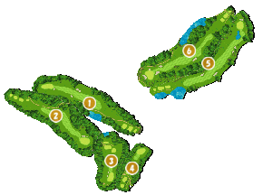 コース全体俯瞰図