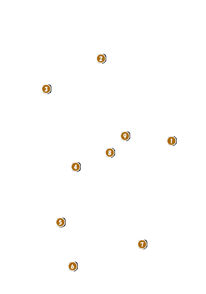 コース全体俯瞰図