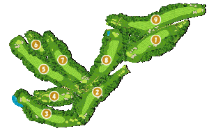 コース全体俯瞰図