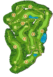 コース全体俯瞰図