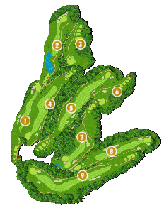 コース全体俯瞰図