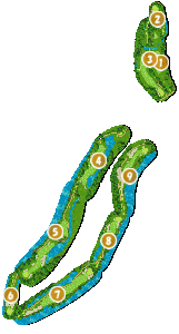 コース全体俯瞰図