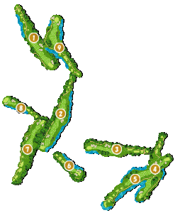 コース全体俯瞰図