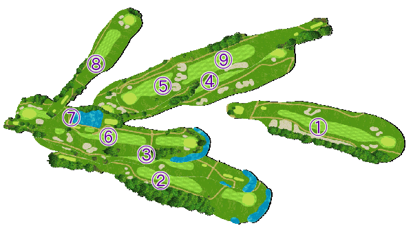 コース全体俯瞰図