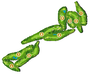 コース全体俯瞰図