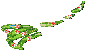 コース全体俯瞰図