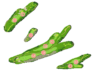 コース全体俯瞰図